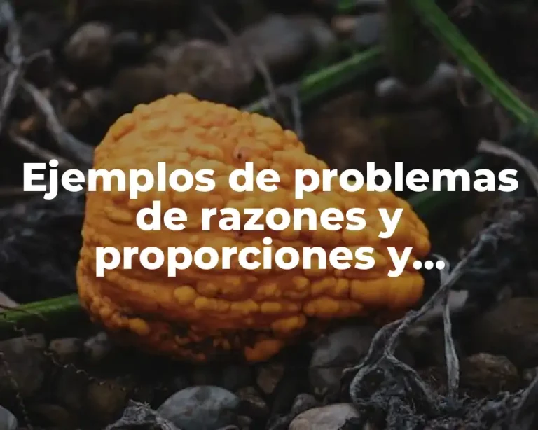 Ejemplos de problemas de razones y proporciones y Significado