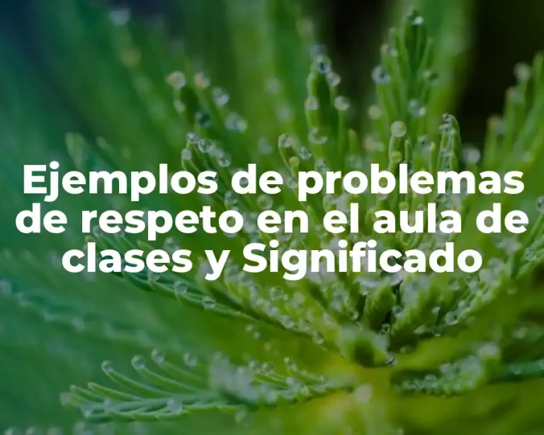 Ejemplos de problemas de respeto en el aula de clases y Significado