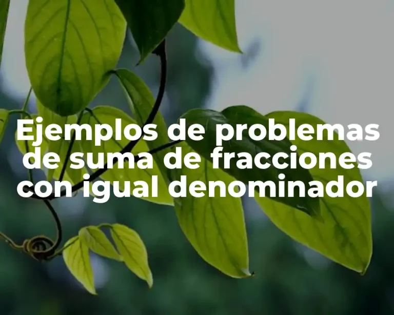Ejemplos de problemas de suma de fracciones con igual denominador