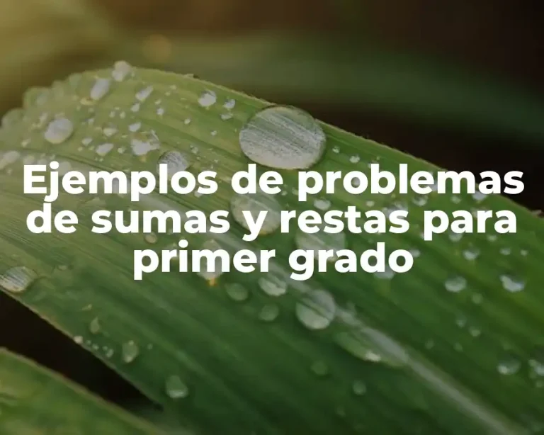 Ejemplos de problemas de sumas y restas para primer grado