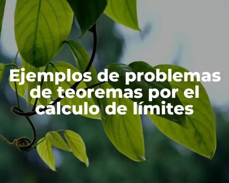Ejemplos de problemas de teoremas por el cálculo de límites