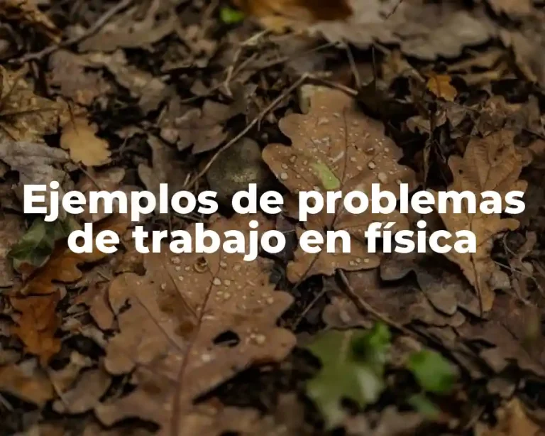 Ejemplos de problemas de trabajo en física