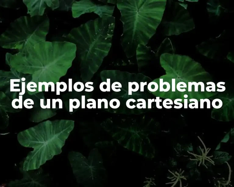 Ejemplos de problemas de un plano cartesiano