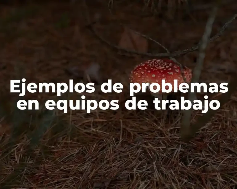Ejemplos de problemas en equipos de trabajo