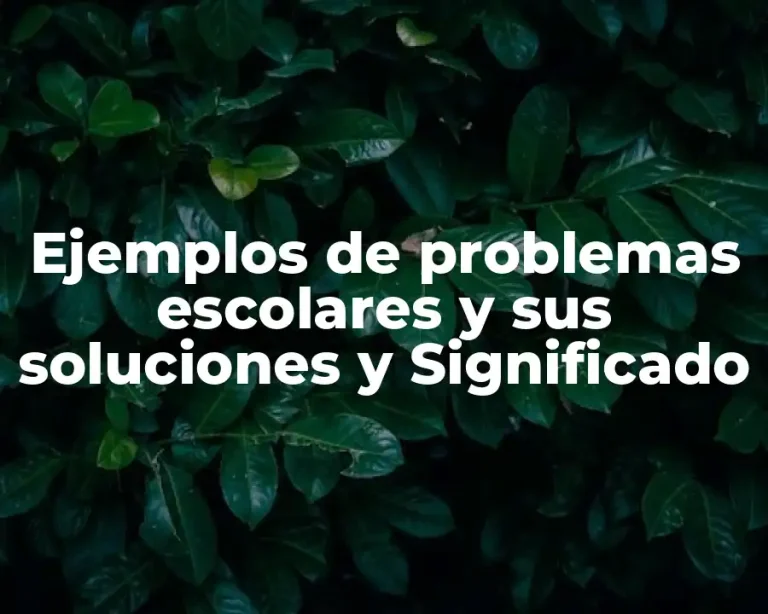 Ejemplos de problemas escolares y sus soluciones y Significado