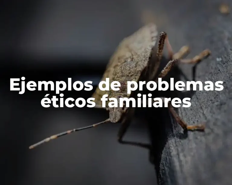 Ejemplos de problemas éticos familiares