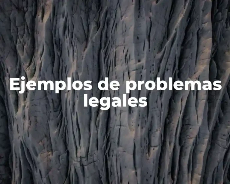 Ejemplos de problemas legales