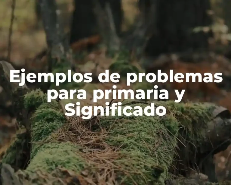 Ejemplos de problemas para primaria y Significado