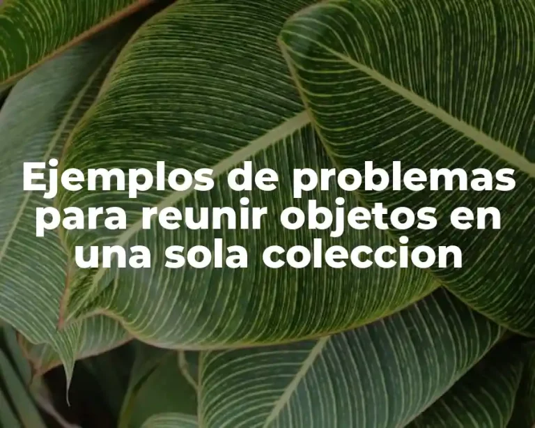 Ejemplos de problemas para reunir objetos en una sola coleccion