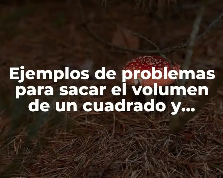 Ejemplos de problemas para sacar el volumen de un cuadrado y Significado