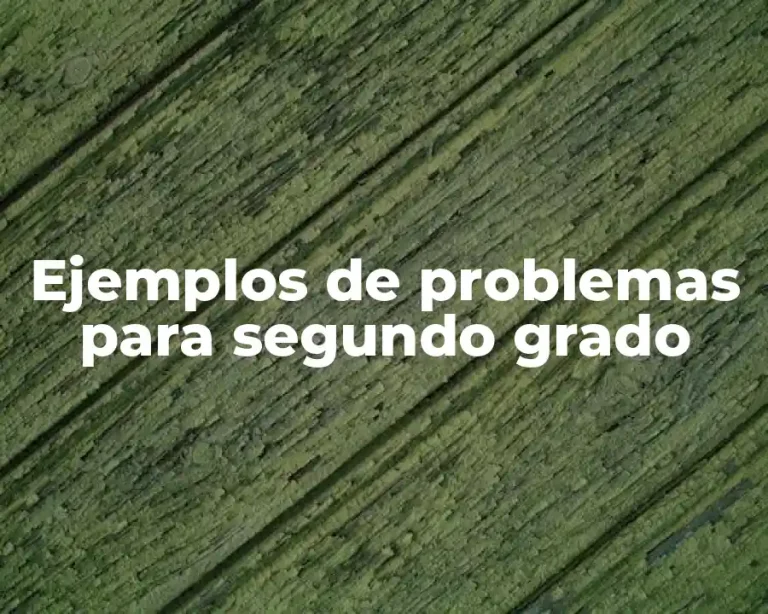 Ejemplos de problemas para segundo grado
