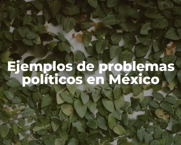Ejemplos de problemas políticos en México