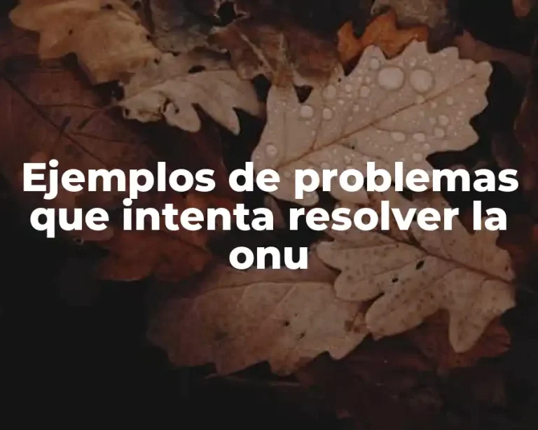 Ejemplos de problemas que intenta resolver la onu