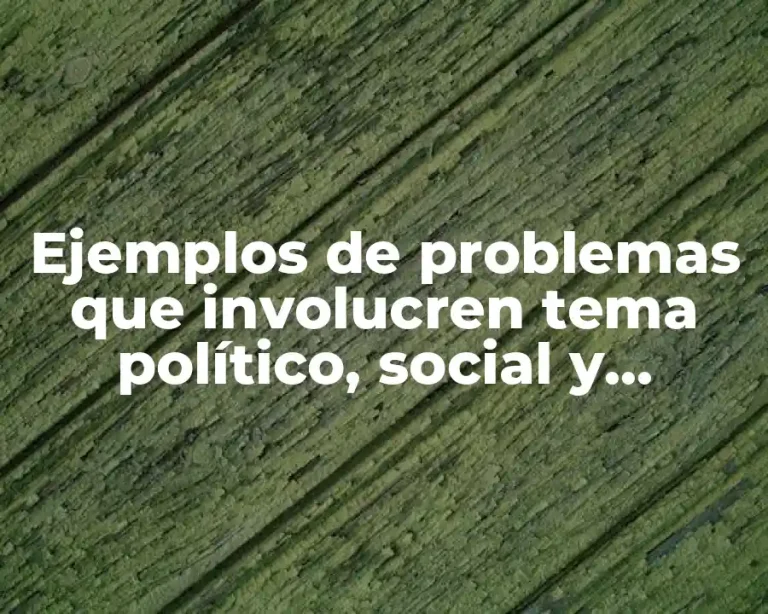 Ejemplos de problemas que involucren tema político, social y económico