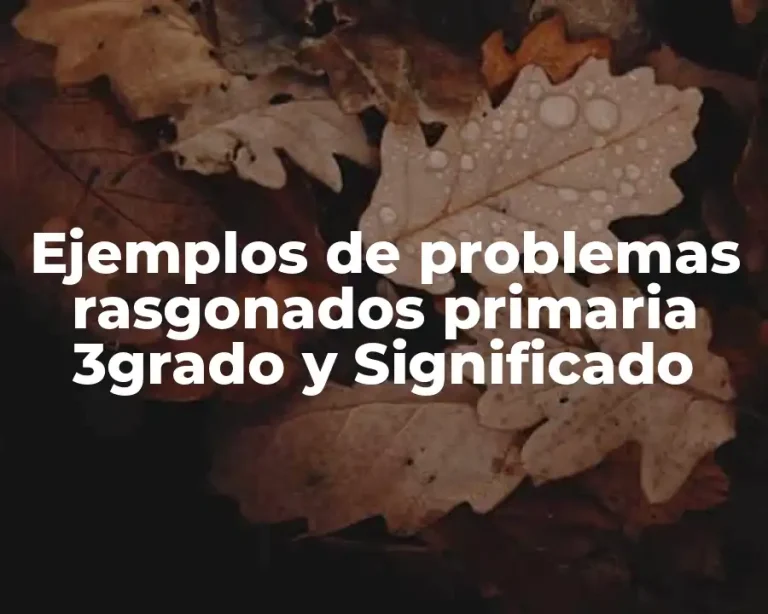 Ejemplos de problemas rasgonados primaria 3grado y Significado