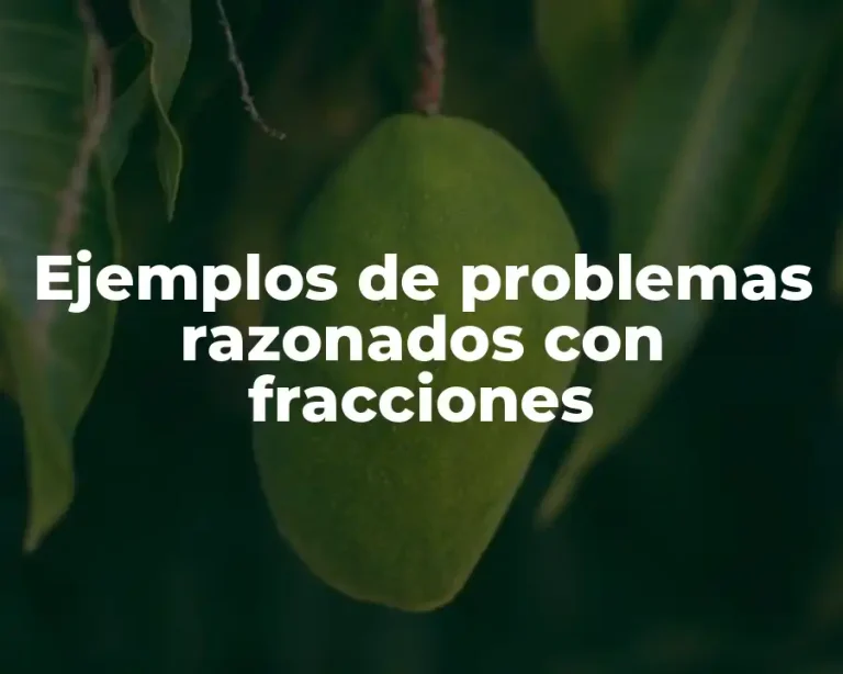 Ejemplos de problemas razonados con fracciones