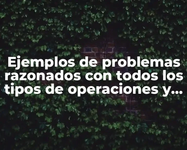 Ejemplos de problemas razonados con todos los tipos de operaciones y Significado