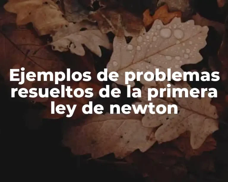Ejemplos de problemas resueltos de la primera ley de newton