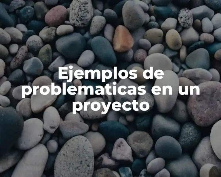 Ejemplos de problematicas en un proyecto