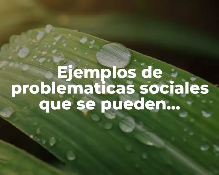 Ejemplos de problematicas sociales que se pueden solucionar en equipo
