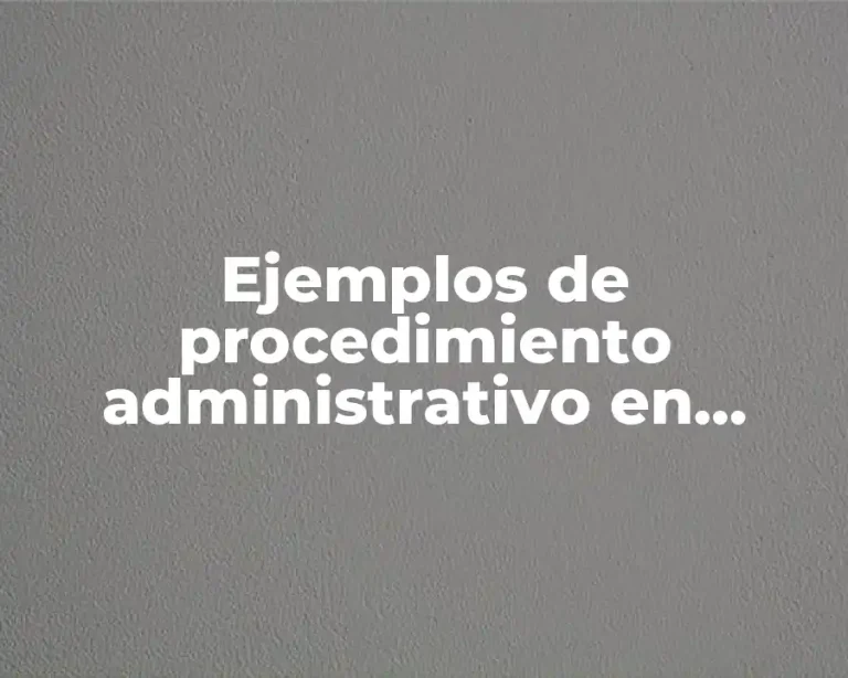 Ejemplos de procedimiento administrativo en materia aduanera y Significado