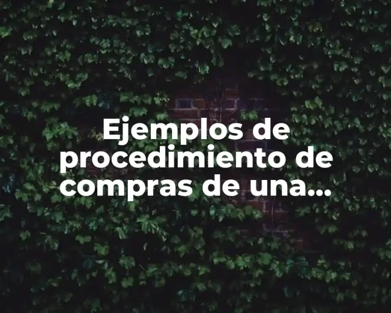 Ejemplos de procedimiento de compras de una empresa