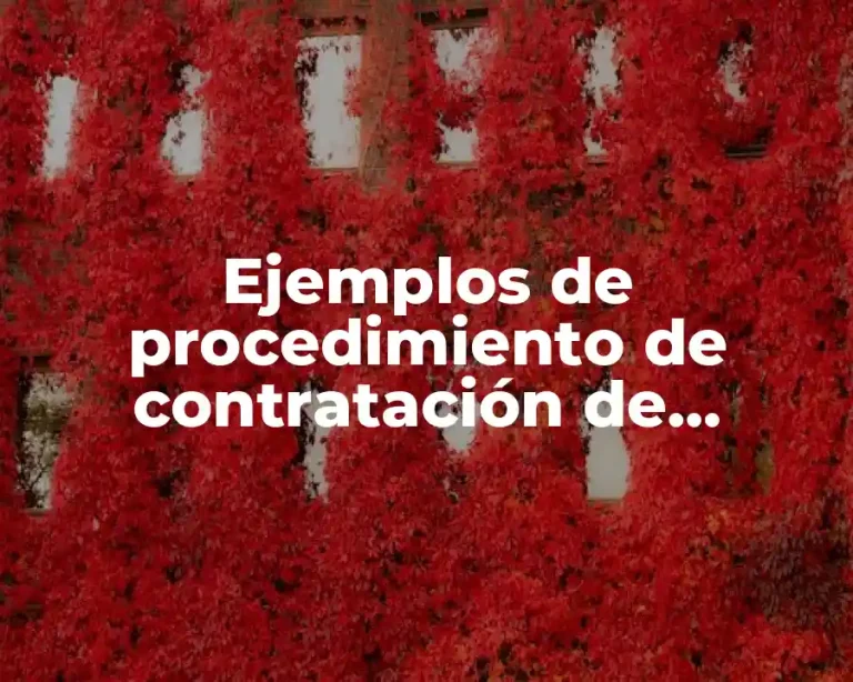 Ejemplos de procedimiento de contratación de personal en una empresa