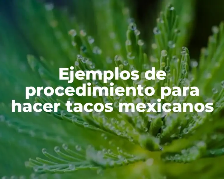 Ejemplos de procedimiento para hacer tacos mexicanos