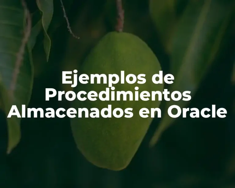 Ejemplos de Procedimientos Almacenados en Oracle