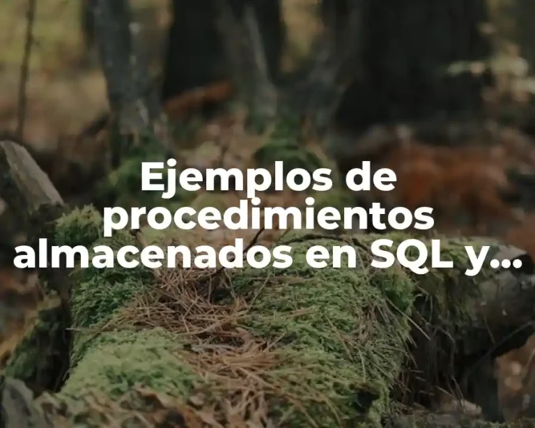 Ejemplos de procedimientos almacenados en SQL y Significado