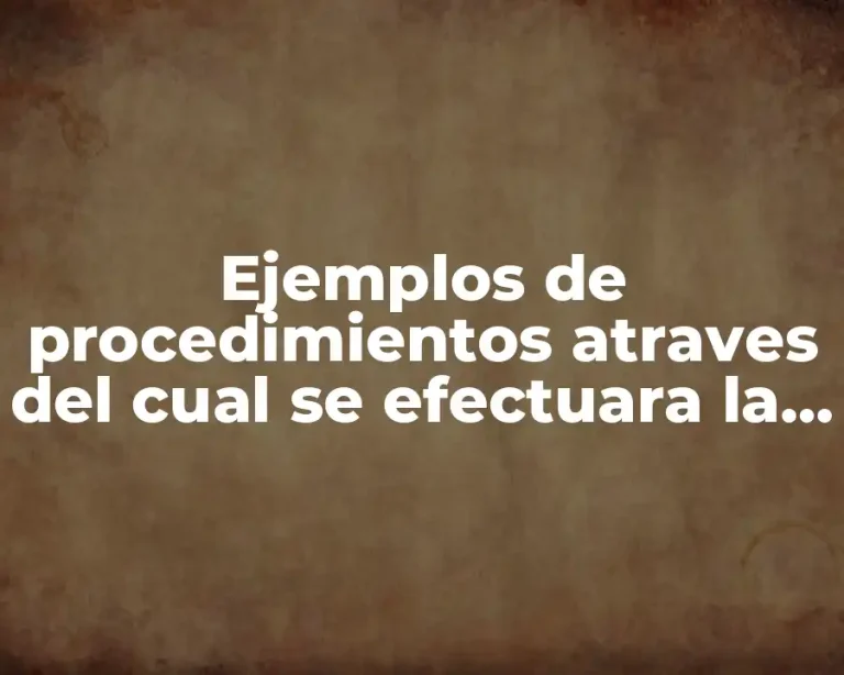 Ejemplos de procedimientos atraves del cual se efectuara la investigación