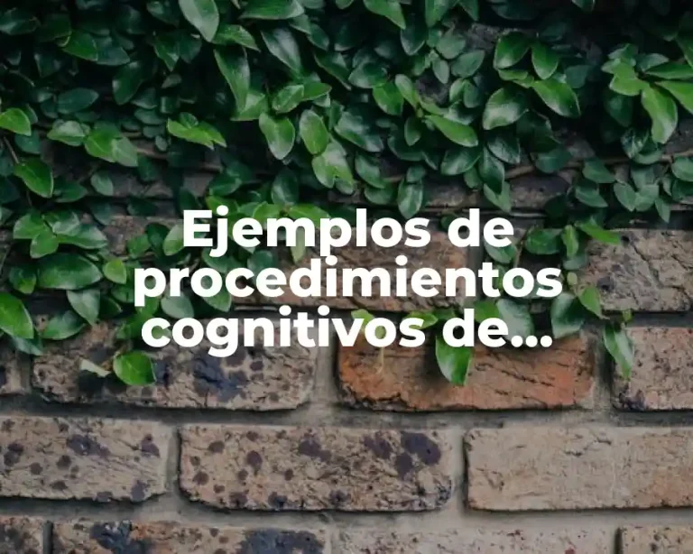 Ejemplos de procedimientos cognitivos de preescolar para iniciar la