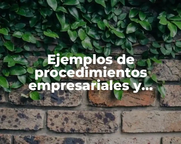 Ejemplos de procedimientos empresariales y Significado