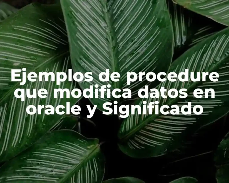Ejemplos de procedure que modifica datos en oracle y Significado