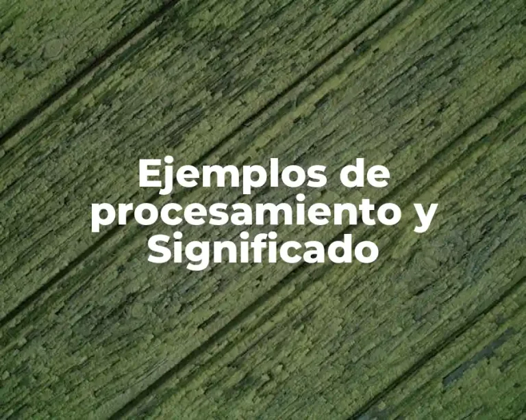 Ejemplos de procesamiento y Significado