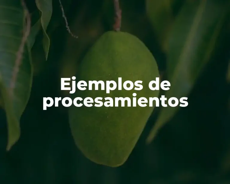 Ejemplos de procesamientos