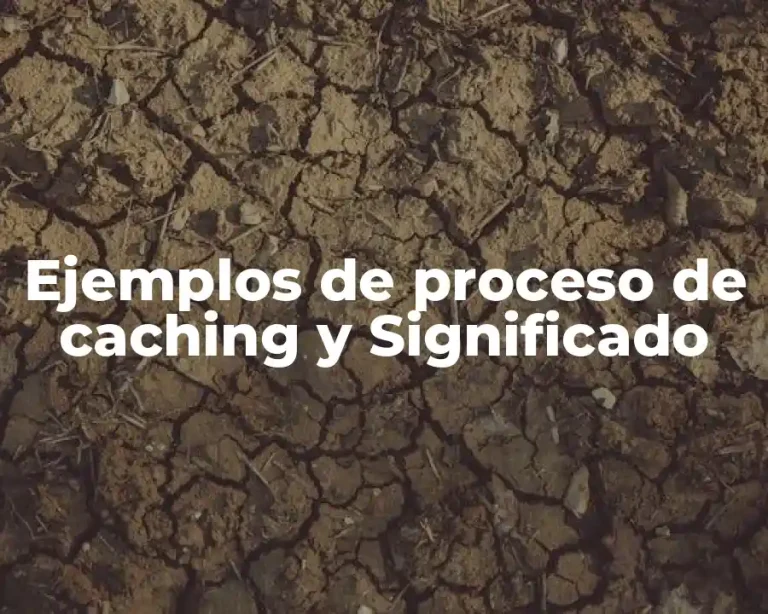 Ejemplos de proceso de caching y Significado