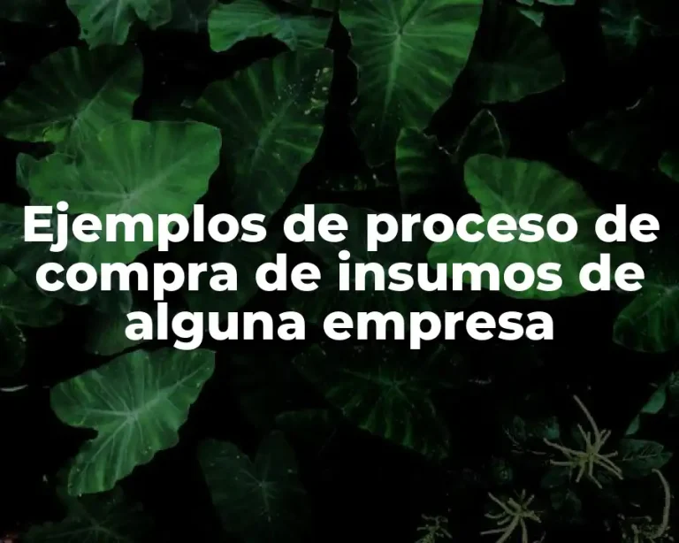 Ejemplos de proceso de compra de insumos de alguna empresa