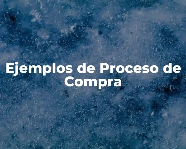 Ejemplos de Proceso de Compra