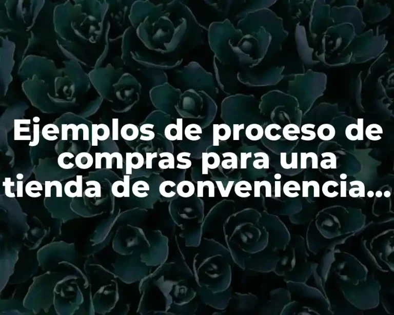 Ejemplos de proceso de compras para una tienda de conveniencia y Significado