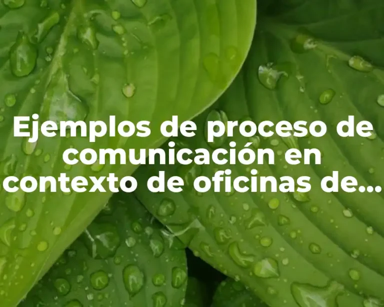 Ejemplos de proceso de comunicación en contexto de oficinas de trabajo