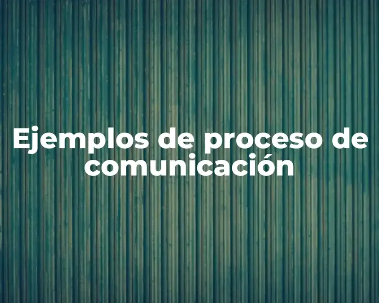 Ejemplos de proceso de comunicación