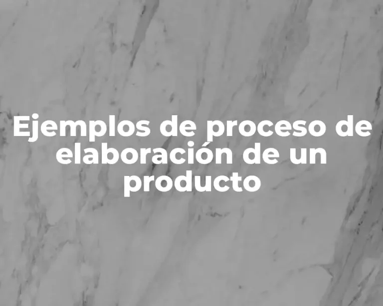 Ejemplos de proceso de elaboración de un producto