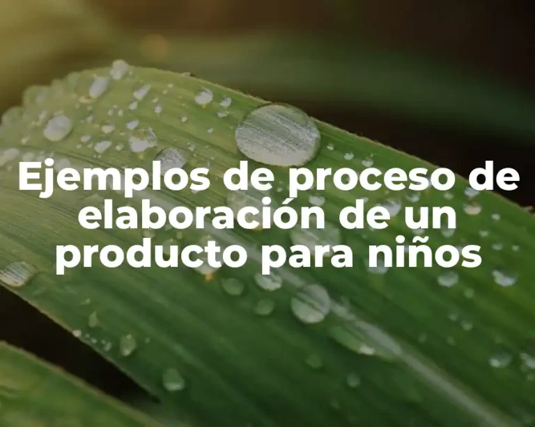 Ejemplos de proceso de elaboración de un producto para niños