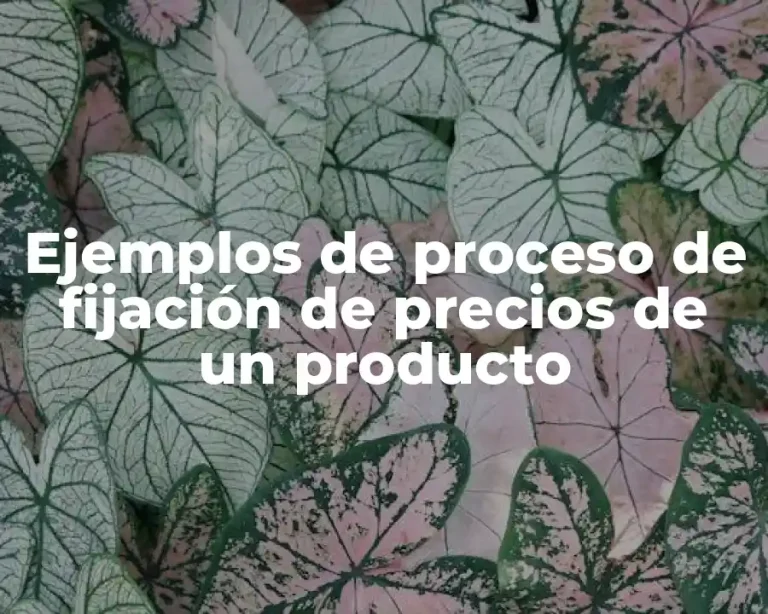 Ejemplos de proceso de fijación de precios de un producto