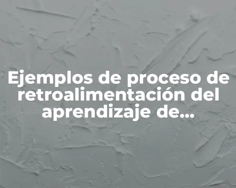 Ejemplos de proceso de retroalimentación del aprendizaje de movimiento