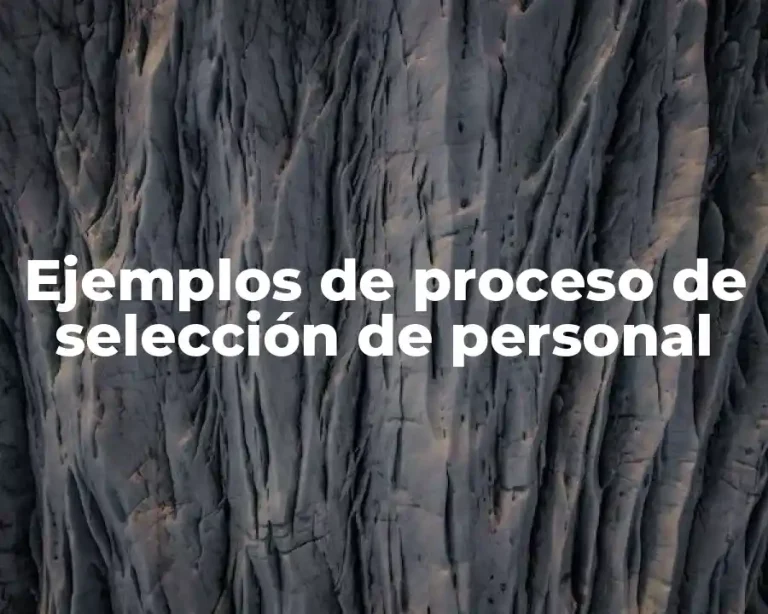 Ejemplos de proceso de selección de personal