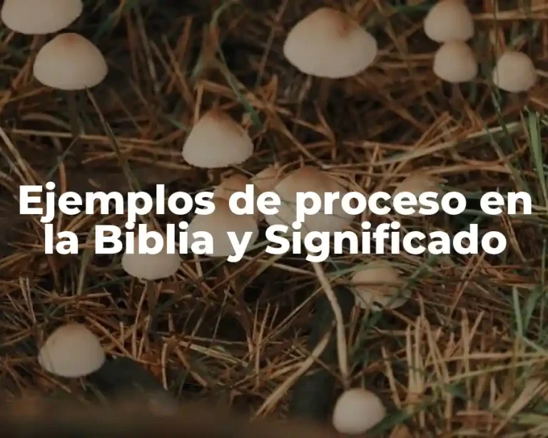 Ejemplos de proceso en la Biblia y Significado