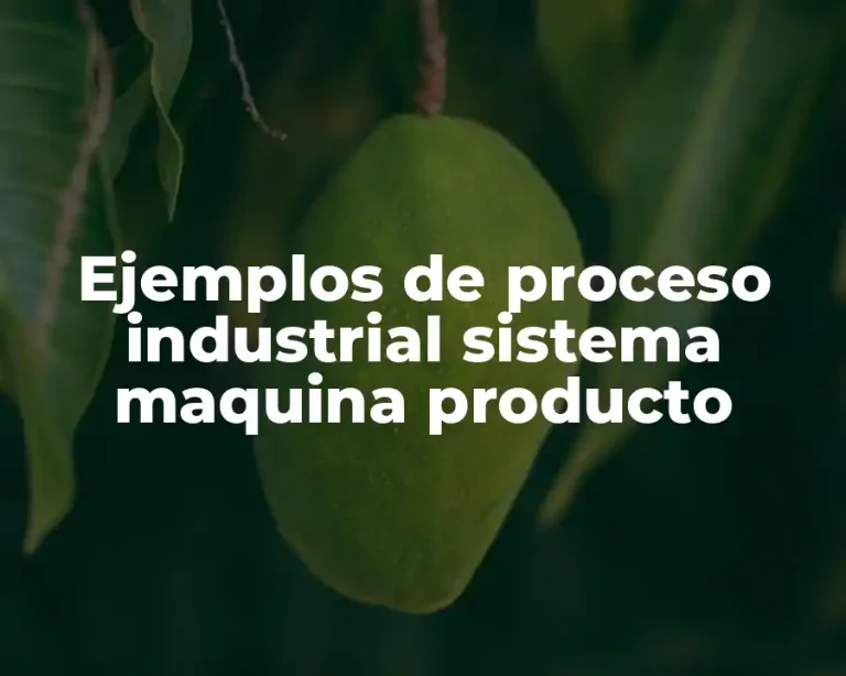 Ejemplos de proceso industrial sistema maquina producto