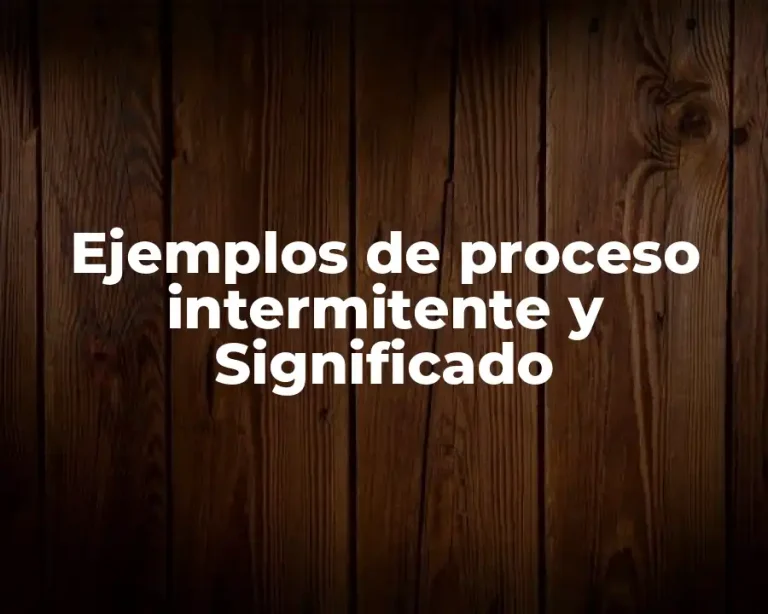 Ejemplos de proceso intermitente y Significado